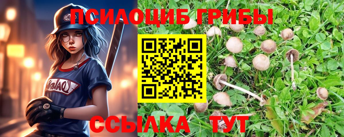 Лиски  Псилоцибиновые грибы Magic Shrooms  Вход с VPN 